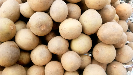 The fruit chiku or sapota has an exceptionally sweet and delicious flavourの写真素材
