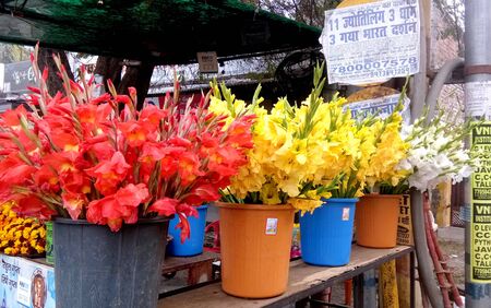 Lucknow, uttar pradesh, india, january 2020 : Colorful decoration artificial flower in the store for saleの写真素材