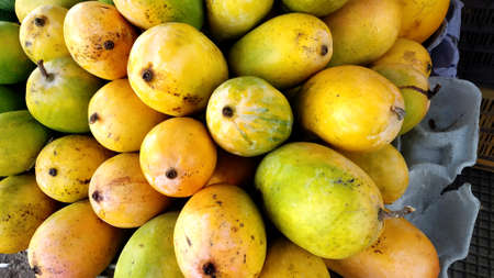 Heap of fresh ripe yellow mangoes at market for sellの写真素材