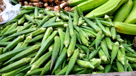 Selling fresh and green vegetables at Local market at lucknow, Indiaの写真素材