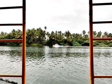 River side landscape view of Backwaters with coconut trees in Indiaの写真素材