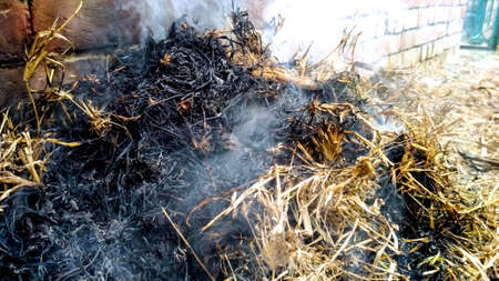 Burning old dry grass in garden. Flaming dry grass on a fieldの写真素材