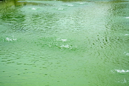 Water fountain lake in Pinjore Garden at chandigarh, indiaの写真素材