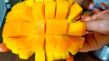 Perfect mango slice cut in cubes. Female hands holding fresh juicy mangoの写真素材