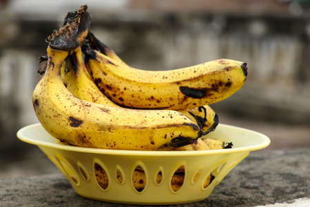 Ripe yellow bananas fruits, bunch of ripe bananas with dark spotsの写真素材