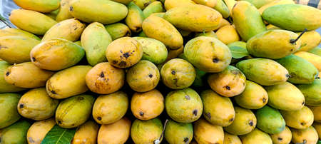 Heap of fresh ripe yellow mangoes at market for sell in indiaの写真素材