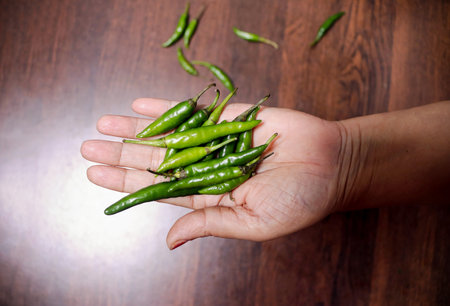 A hand of woman holding some fresh green chiliesの写真素材