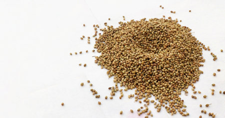 Coriander seeds isolated on white background. Selective focusの写真素材