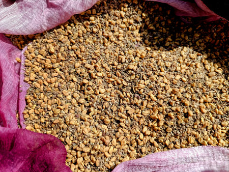 A closeup of Fenugreek and celery kept for dryingの写真素材