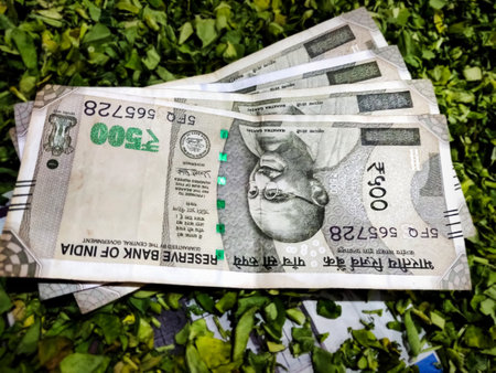 Indian 500 Rupees notes on green background. Concept of agricultureの写真素材