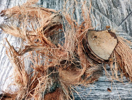 Close-up of dry coconut husk fibers and broken coconut shells spread out on a tiled surface.の写真素材