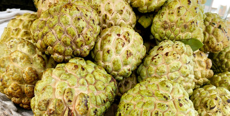 A vibrant close-up of freshly harvested custard apples, Annona squamosa, also known as sitaphal or...