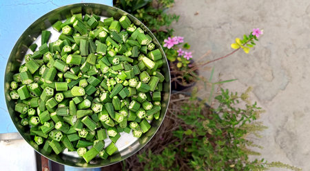Freshly chopped okra, ladyfinger or bhindi in a stainless steel plate. Ideal for use in cooking...