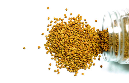 Top view of fenugreek seeds methi dana isolated on white background with copy spaceの写真素材
