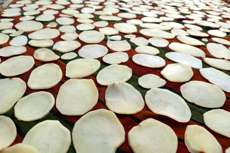 Thin slices of raw potatoes spread on a colorful cloth for sun drying, a traditional Indian method to prepare homemade potato chips or wafers.の写真素材
