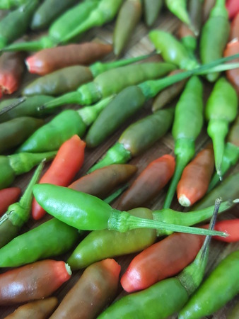 a lot of Chili have Green chili Red chili and Multi color The background is Bird's Eye Chilli, Chili Texture, Capsicum annuum, Paprika,Thai Herbals, Thai pepper small  but still many times more spicyの写真素材