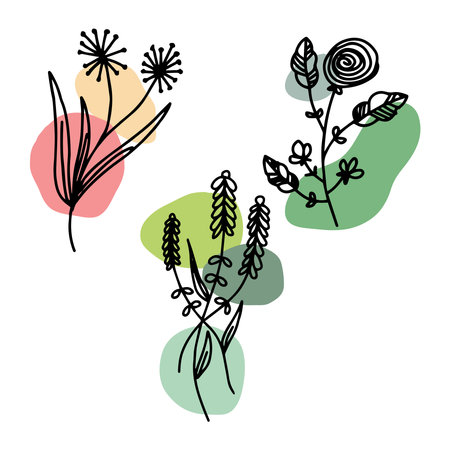 set of flower elements line artのイラスト素材