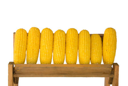 a row of golden corn resting on a wooden shelf against a white backgroundの写真素材