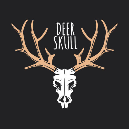 Deer Skull with antlers. Hand drawn vector illustration. Isolated on black background.のイラスト素材