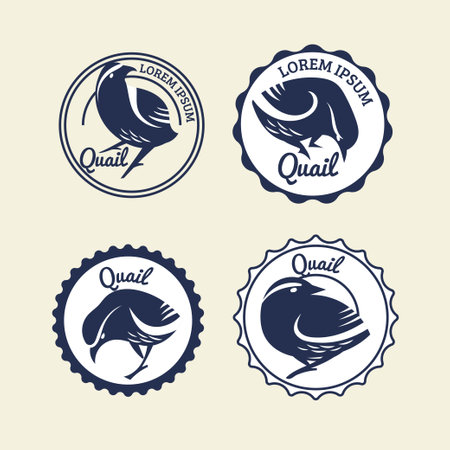 Set of Quail or Kiwi vintage emblems, labels and design elements. Vector illustrationのイラスト素材