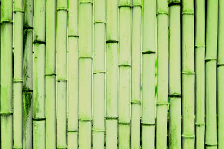 green wallの写真素材