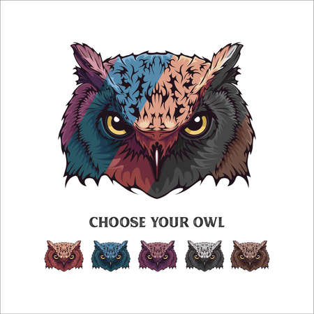 owl illustrationのイラスト素材