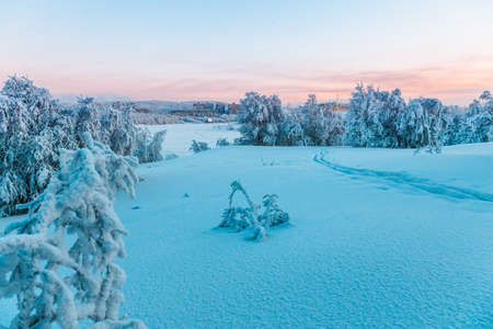 winter city