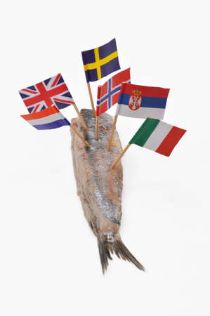 Competition in fishery - conceptual - A fish divided by flags of Nations with pretensions in fisheryの写真素材