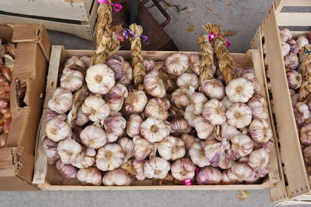 Braided strands with bulbs of Garlic in wooden box at a market in Brittany, Franceの写真素材