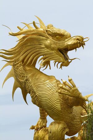 Golden Dragon の写真素材