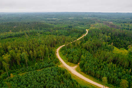 Aerial view from drone of idyllic country road leading through gallant pine and birch forests in dark green colors in cloudy rainy weatherの写真素材