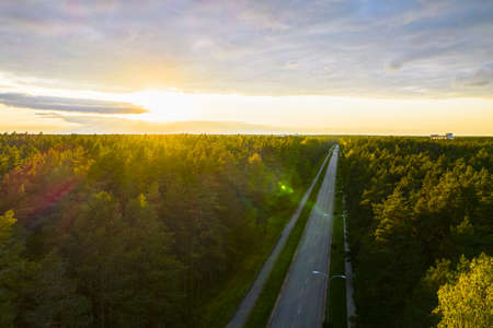 Aerial view from drone of concrete road leading through autumn forests in gold yellow green colors. Forest in golden time and empty highway in fall season on bright sunset. Roadway among treetopsの写真素材