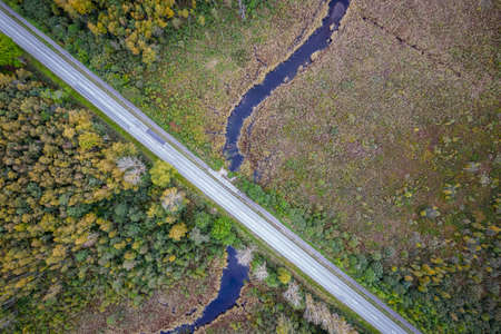 Aerial view from drone of concrete road intersecting little blue river among autumn pine, foliage forests, bogs in yellow green gold colors. Treetops in golden time and empty highway in fall seasonの写真素材