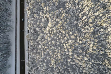 Aerial view of asphalt highway leading through frosty winter forests and groves covered with hoarfrost and snow. Drone photo of black road line and trees with chill snow in mountains. Christmas themeの写真素材