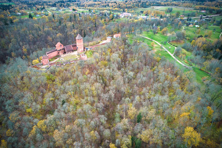 Above aerial shot of green pine forests and yellow foliage groves with beautiful texture of golden treetops. Beautiful fall season scenery in evening. Mountains in autumn colors in golden timeの写真素材