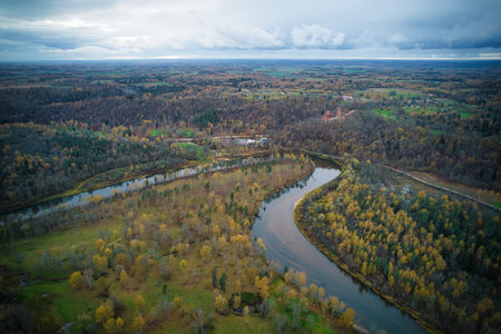 Above aerial shot of green pine forests and yellow foliage groves with beautiful texture of golden...