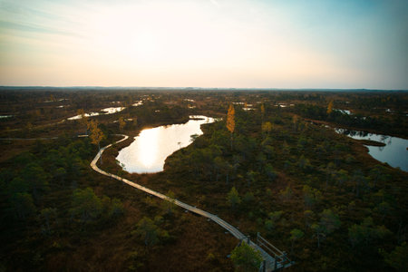 A drone photo of expansive summer swamps with winding streams, tall reeds and grasses, and green and brown wetlands. Capturing the natural serene nature scenery of this remote and unspoiled wildernessの写真素材