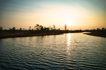 A drone photo of expansive summer swamps with winding streams, tall reeds and grasses, and green and brown wetlands. Capturing the natural serene nature scenery of this remote and unspoiled wildernessの写真素材