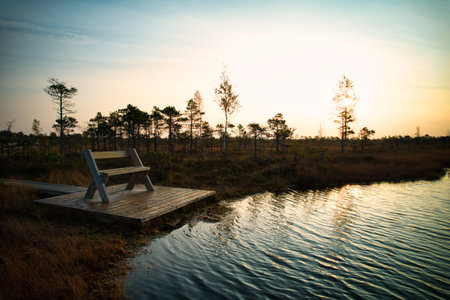 A drone photo of expansive summer swamps with winding streams, tall reeds and grasses, and green and brown wetlands. Capturing the natural serene nature scenery of this remote and unspoiled wildernessの写真素材