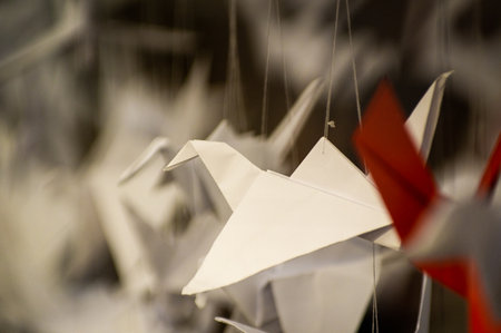 Japanese folded Origami cranes hanging on with strings. Hundreds handmade paper birds isolated with copy space. 1000 thousand crane tsuru sculpture topic. Symbol of peace, faith, health, wishes, hopeの写真素材