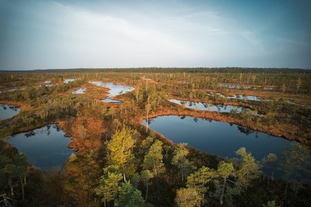 A drone photo of expansive summer swamps with winding streams, tall reeds and grasses, and green and brown wetlands. Capturing the natural serene nature scenery of this remote and unspoiled wildernessの写真素材