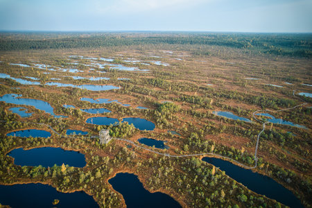 A drone photo of expansive summer swamps with winding streams, tall reeds and grasses, and green and...