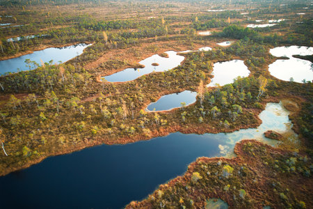 A drone photo of expansive summer swamps with winding streams, tall reeds and grasses, and green and brown wetlands. Capturing the natural serene nature scenery of this remote and unspoiled wildernessの写真素材