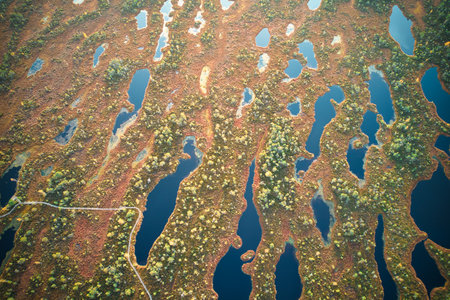 A drone photo of expansive summer swamps with winding streams, tall reeds and grasses, and green and brown wetlands. Capturing the natural serene nature scenery of this remote and unspoiled wildernessの写真素材