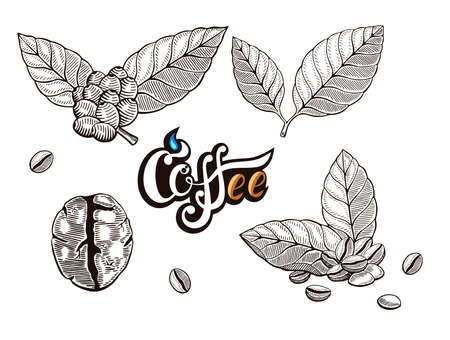 coffee set on white backgroundのイラスト素材