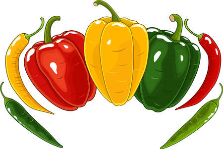 Different types of peppers set, vector illustrationのイラスト素材