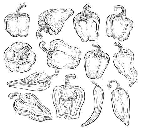 pepper set drawing on lineart styleのイラスト素材