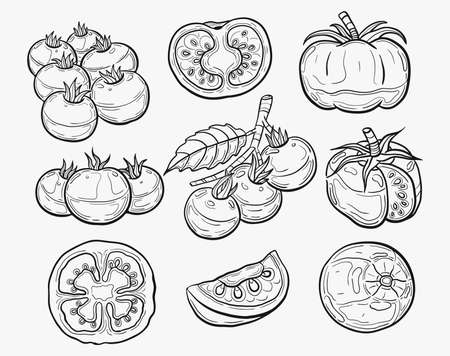 tomato set drawing on lineart styleのイラスト素材