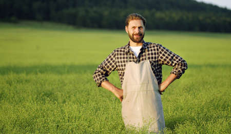 Smiling male farmer with hands on waist standing among green field looking at cameraの写真素材