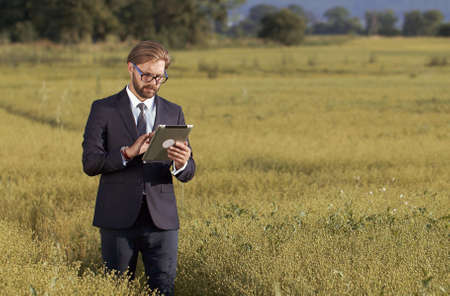 Business-looking man holding tablet standing in ripe field examining crops before harvestingの写真素材